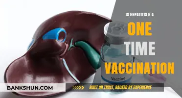 Hepatitis B Vaccination: Is One Shot Enough for Lifelong Protection?