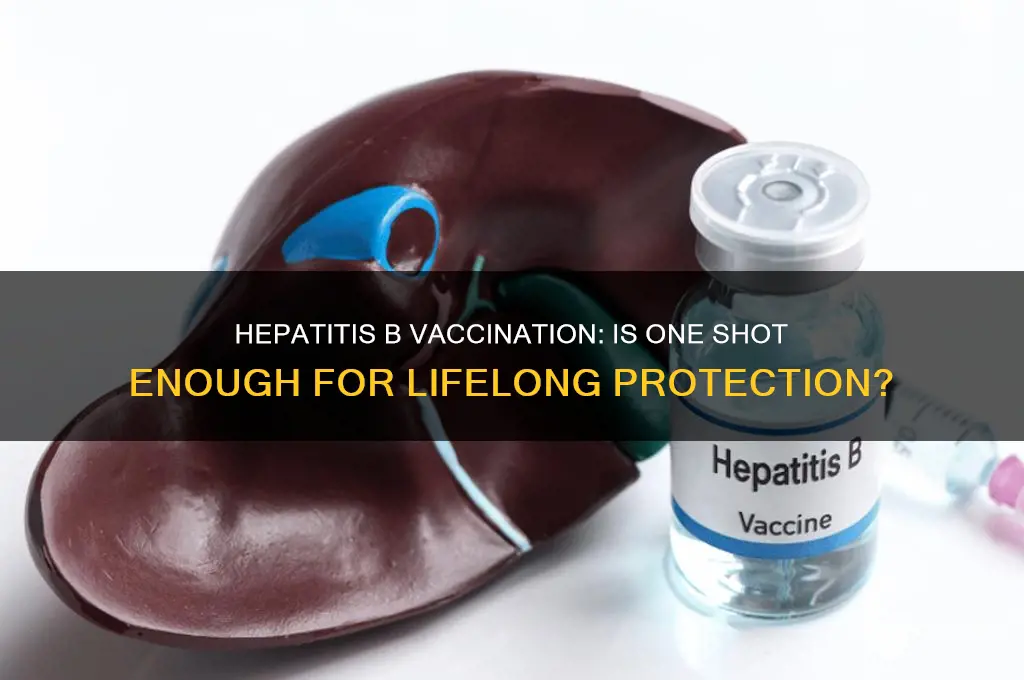 is hepatitis b a one time vaccination