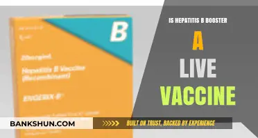 Is Hepatitis B Booster a Live Vaccine? Facts and Insights