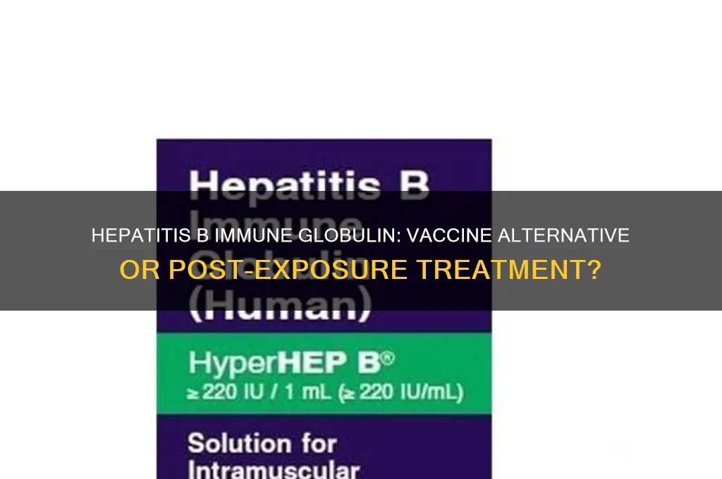 is hepatitis b immune globulin a vaccine