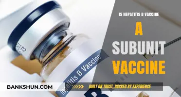 Understanding Hepatitis B Vaccine: Is It a Subunit Vaccine?