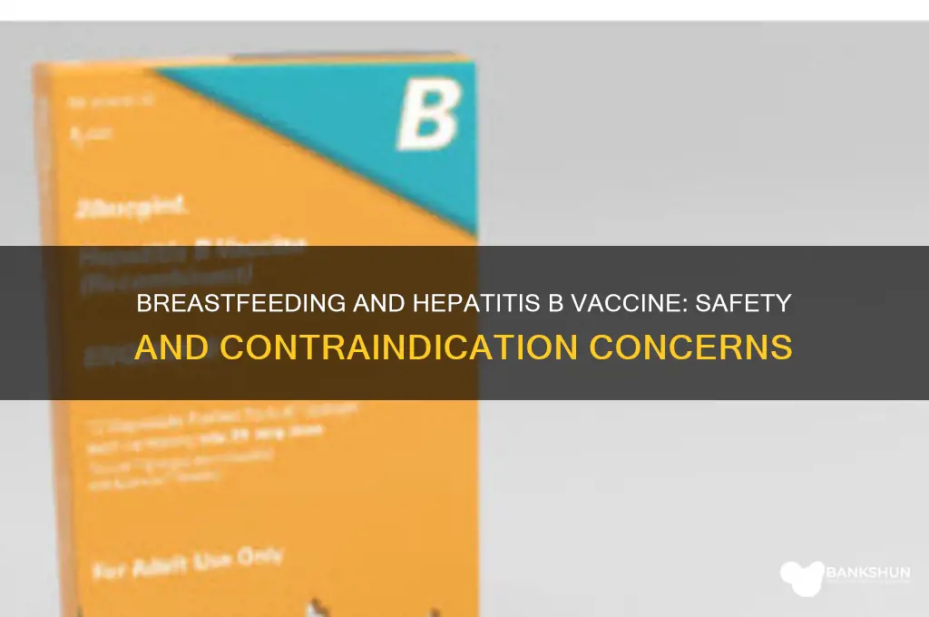 is hepatitis b vaccine contraindication to breastfeeding