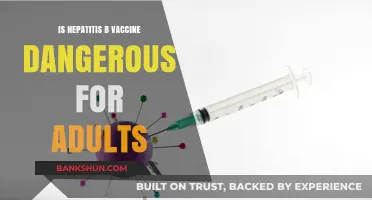 Hepatitis B Vaccine Safety: Debunking Myths for Adult Immunization