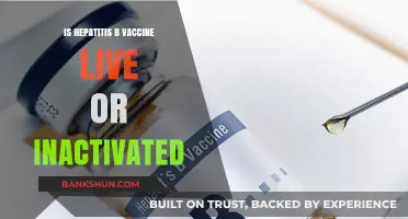 Hepatitis B Vaccine: Live or Inactivated? Understanding the Difference