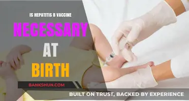 Hepatitis B Vaccine at Birth: Essential or Optional for Newborns?