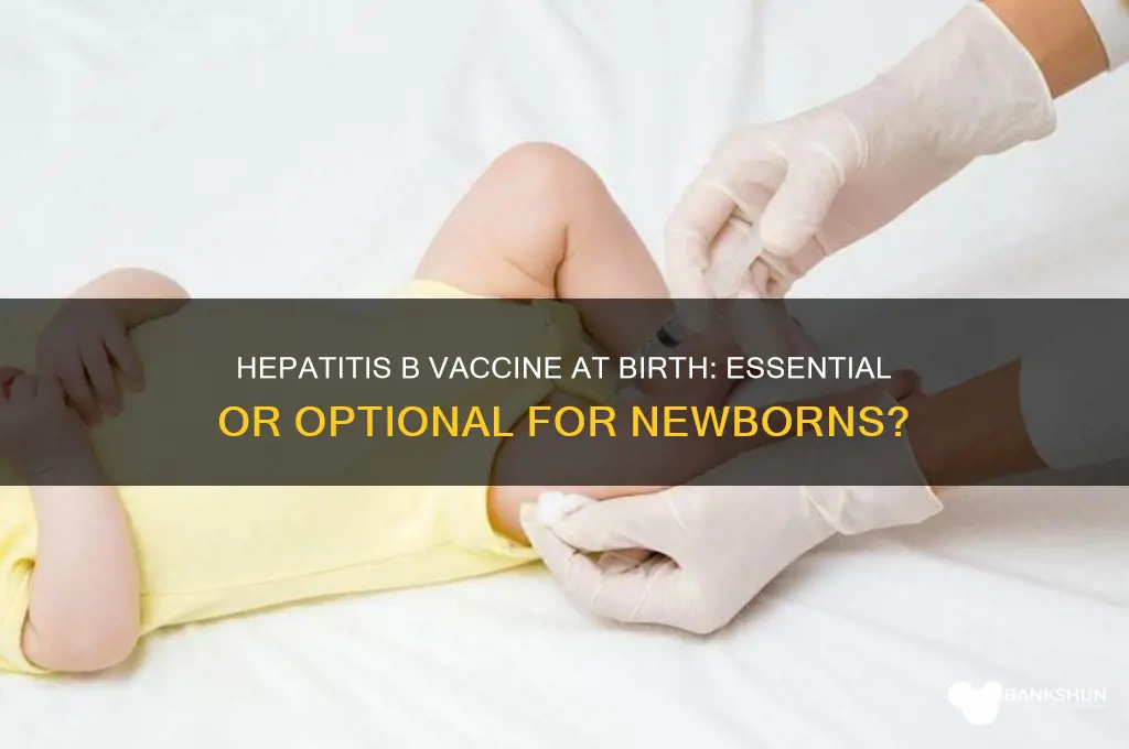 is hepatitis b vaccine necessary at birth