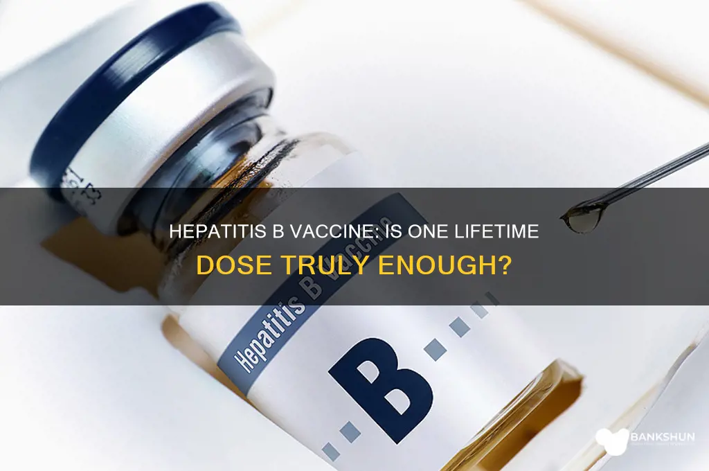 is hepatitis b vaccine once per lifetime