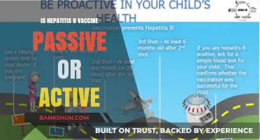 Hepatitis B Vaccine: Understanding Its Passive vs. Active Immunity Role
