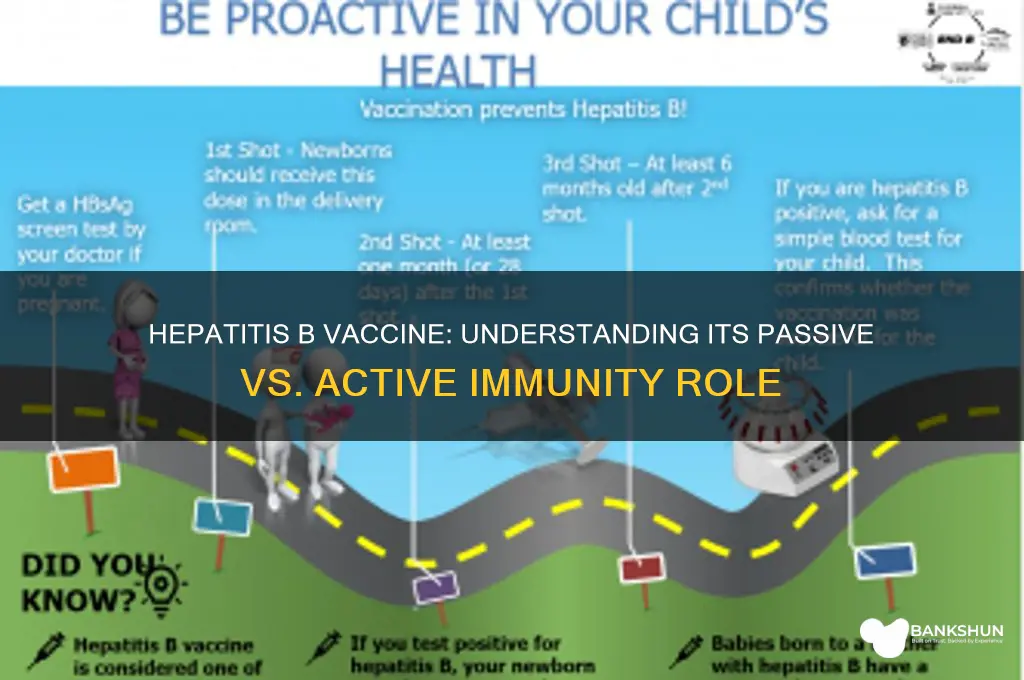 is hepatitis b vaccine passive or active