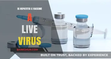 Is the Hepatitis C Vaccine a Live Virus? Facts Explained