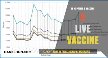 Is the Hepatitis B Vaccine Live? Understanding Its Composition