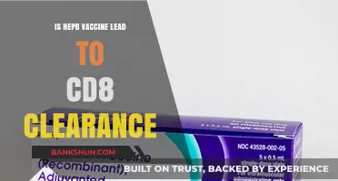 Does the HepB Vaccine Influence CD8 Clearance? Exploring the Link