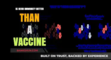 Herd Immunity vs. Vaccines: Which Strategy Offers Better Protection?
