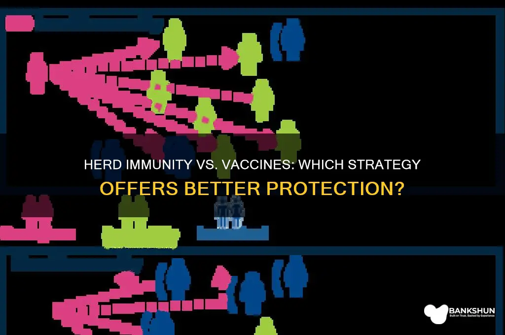 is herd immunity better than a vaccine