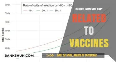 Herd Immunity Beyond Vaccines: Exploring Natural Immunity and Public Health