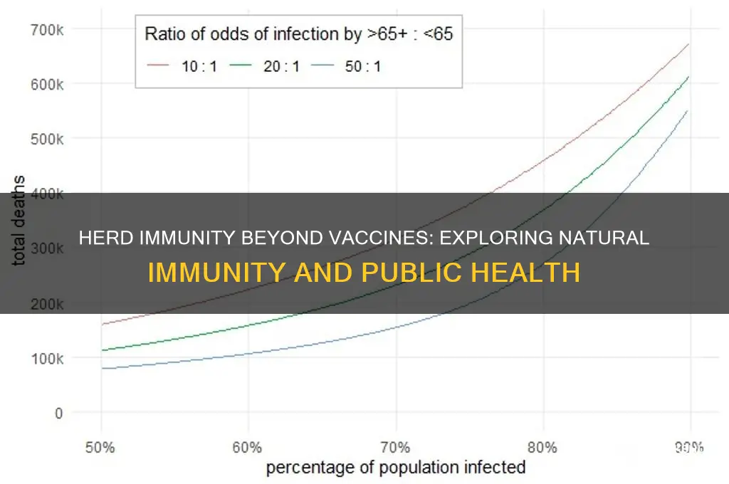 is herd immunity only related to vaccines