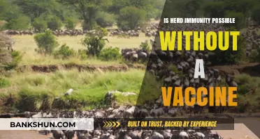 Can Herd Immunity Be Achieved Without Vaccination? Exploring the Possibilities