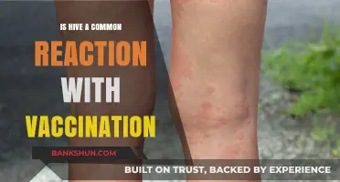 Is Hive a Common Reaction to Vaccination? Understanding Side Effects