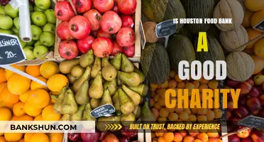 Is Houston Food Bank a Good Charity? Evaluating Impact and Transparency