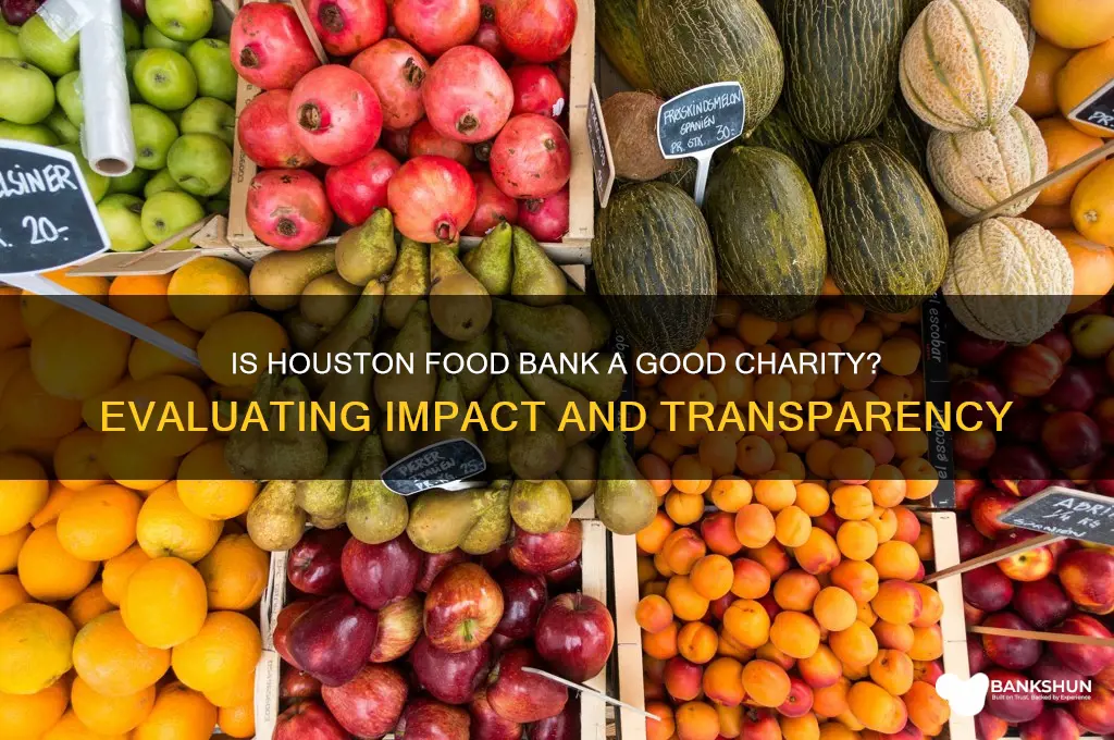 is houston food bank a good charity