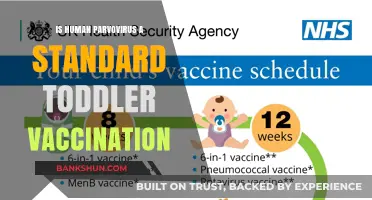 Is Human Parvovirus Included in Standard Toddler Vaccination Schedules?