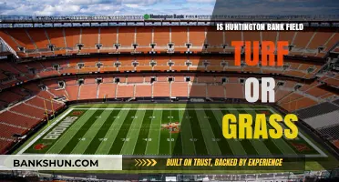 Huntington Bank Field Surface: Turf or Natural Grass?
