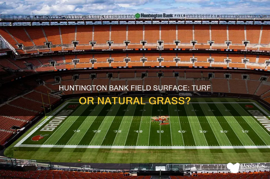 is huntington bank field turf or grass