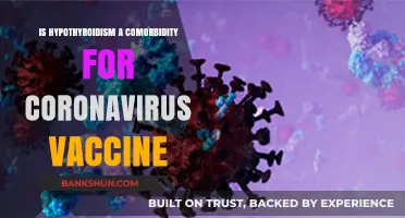 Hypothyroidism and COVID-19 Vaccines: Understanding Potential Comorbidity Risks