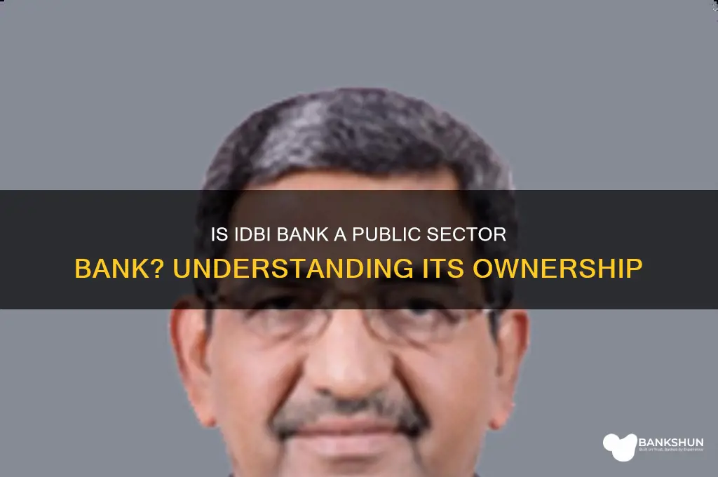 is idbi bank a public sector bank