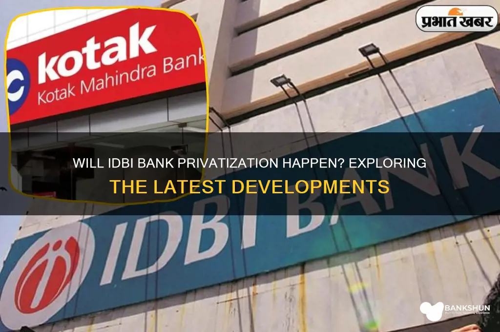is idbi bank going to be privatised