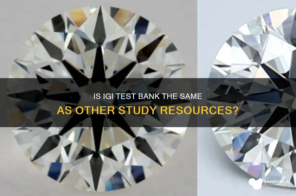 is igi test bank the same as