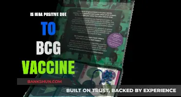 BCG Vaccine's Impact: Is IGRA Testing Positively Influenced?