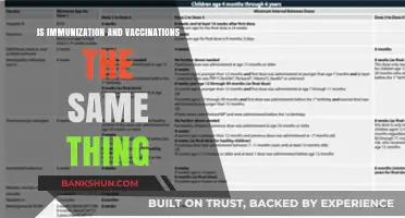 Immunization vs. Vaccinations: Understanding the Key Differences and Similarities
