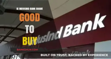 Is IndusInd Bank Share a Wise Investment Choice?