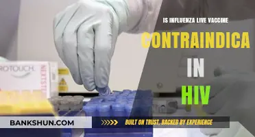 HIV and Flu Vaccines: Is the Live Influenza Vaccine Safe?
