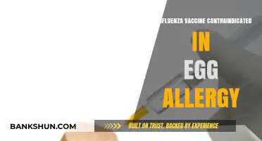 Egg Allergy and Flu Shots: What You Need to Know