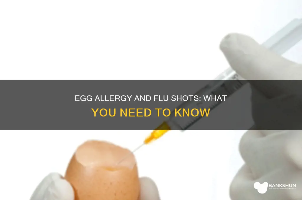 is influenza vaccine contraindicated in egg allergy