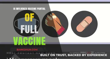 Influenza Vaccine: Partial or Full Protection? Understanding Your Options