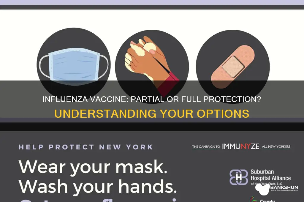 is influenza vaccine partial of full vaccine