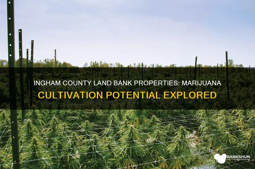 is ingham county land bank property marajuana