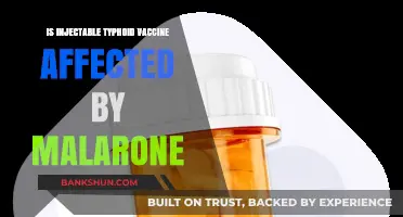 Does Malarone Impact Injectable Typhoid Vaccine Efficacy? Key Insights