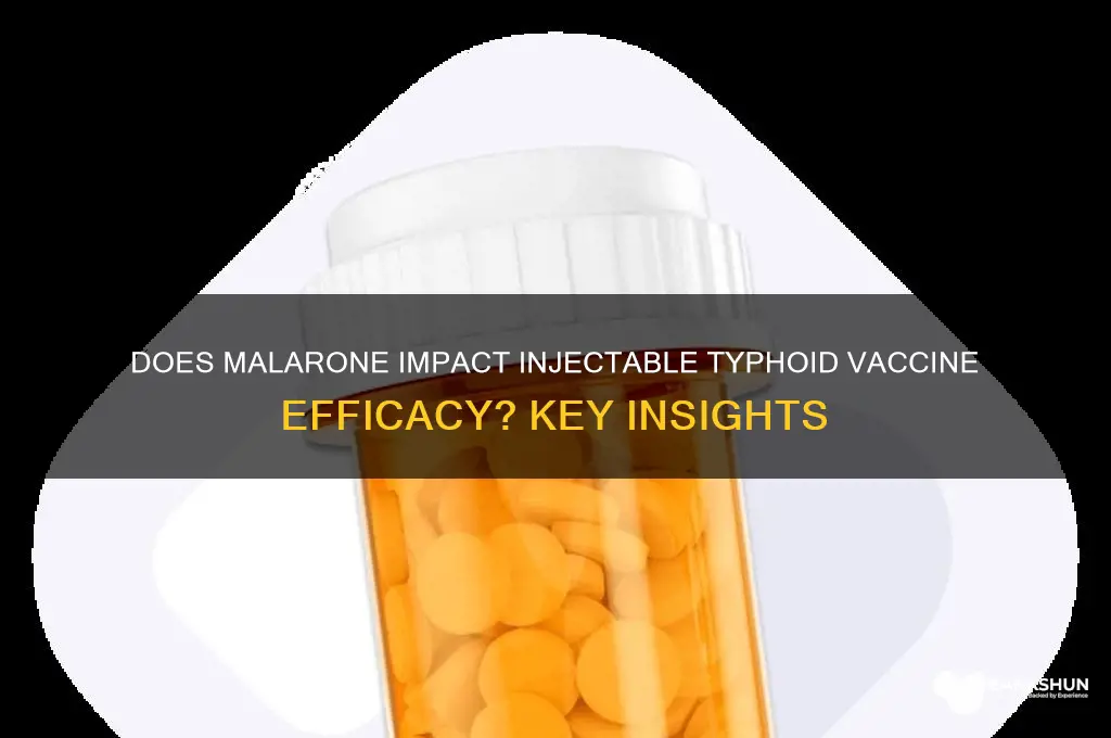is injectable typhoid vaccine affected by malarone