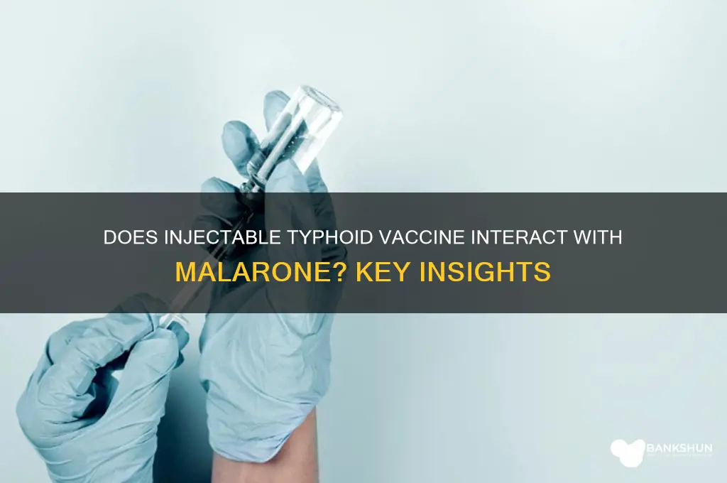 is injectable typhoid vaccine affected by malerone