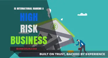 International Banking Risks: Navigating High-Stakes Global Financial Challenges