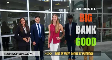 Is Interning at a Big Bank Worth It? Pros, Cons, and Insights