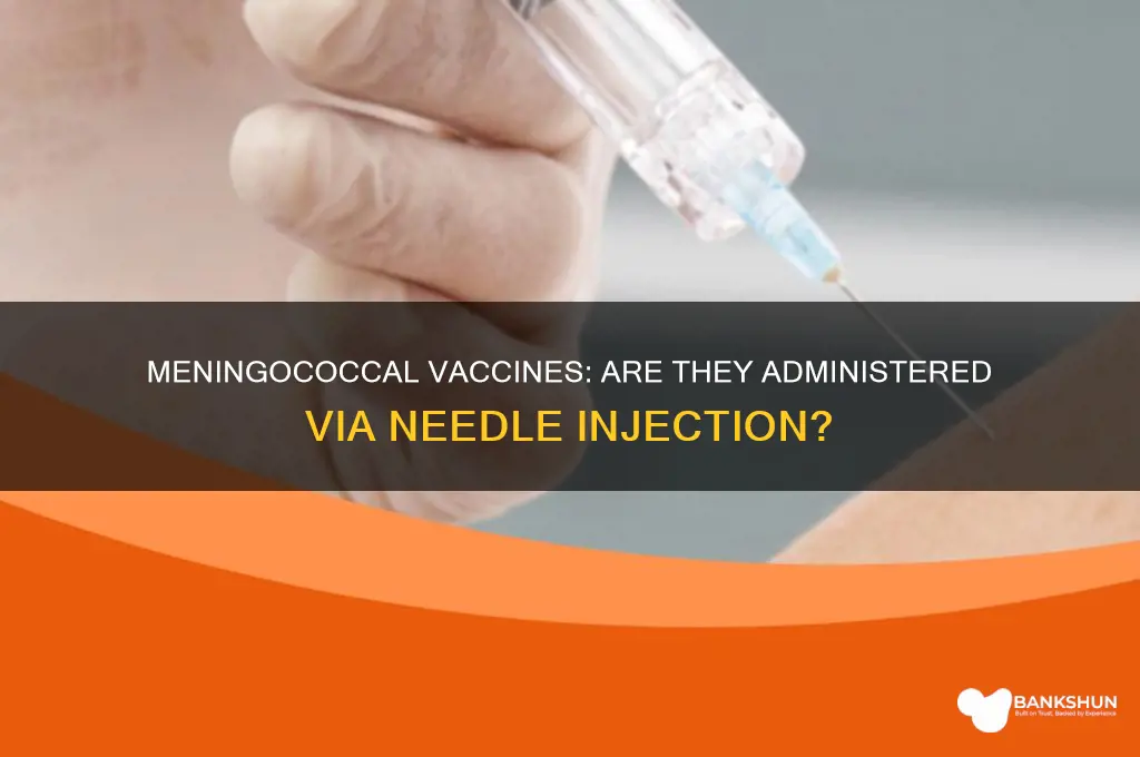 is isthe meningococcal vaccines applied by needle