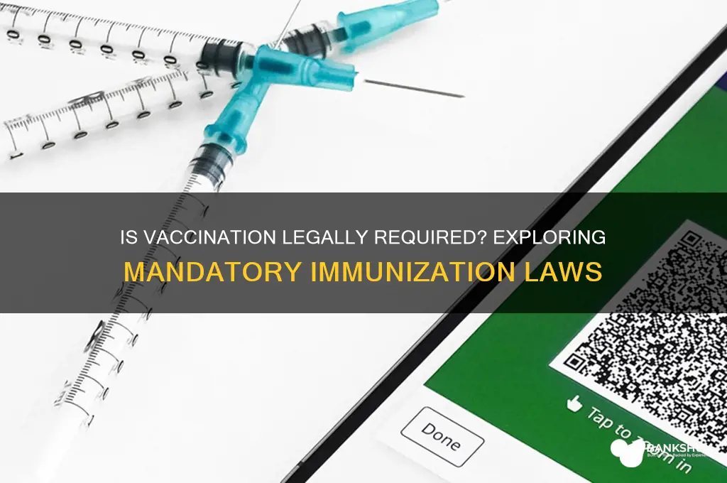 is it a law to be vaccinated