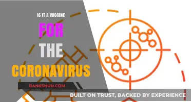 Is the Coronavirus Vaccine Effective? Exploring Its Role in Pandemic Control