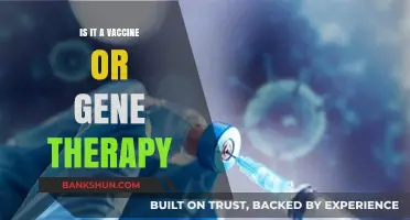 Vaccine or Gene Therapy: Understanding the Science Behind COVID-19 Shots
