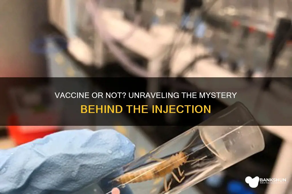 is it a vaccine or something else